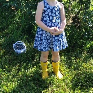 Alice and Ames Penny dress 3T